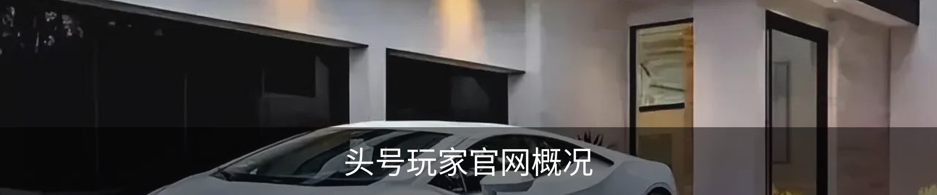 头号玩家官网概况